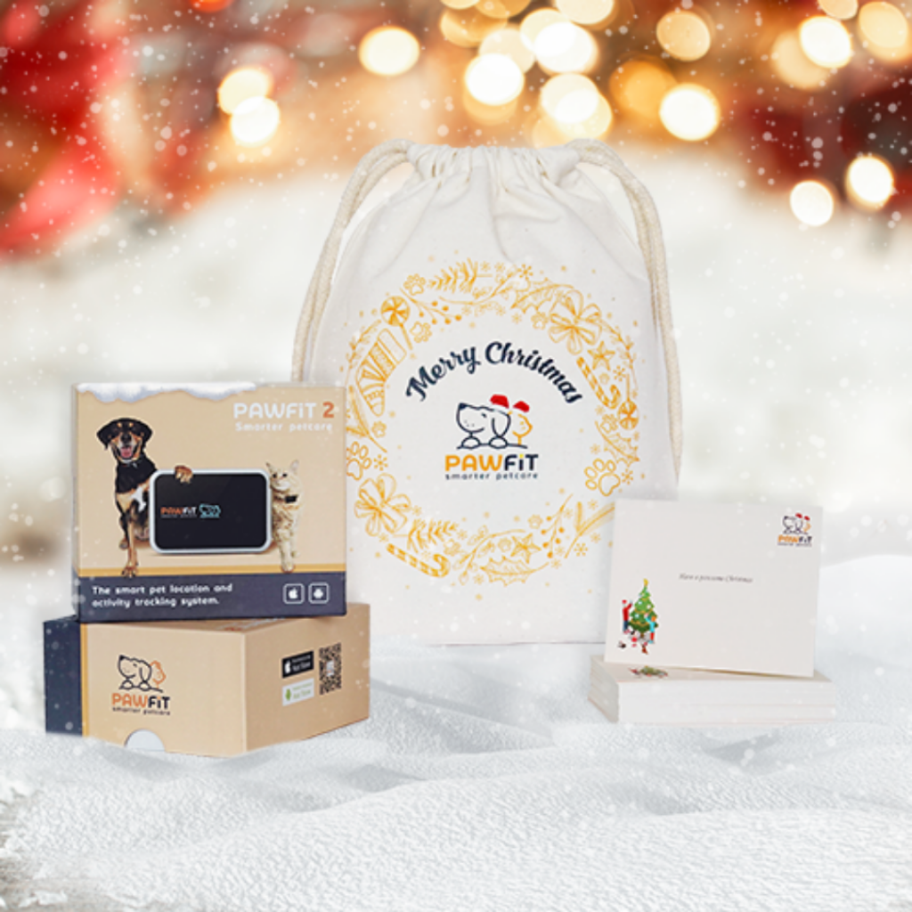 Pawfit Gift Deal