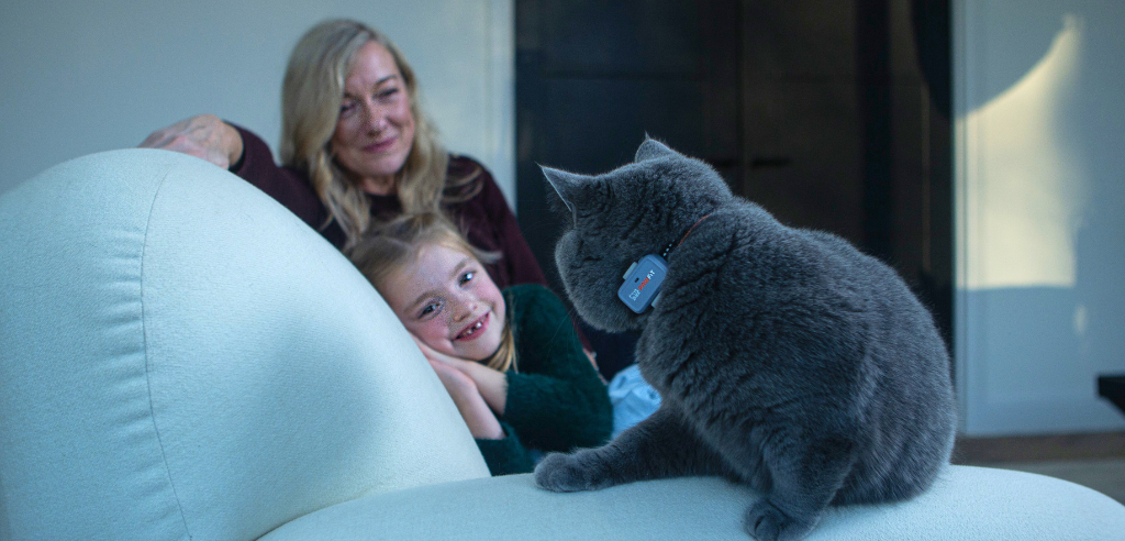 A woman and her daughter are sat on a white sofa looking at their grey cat who is wearing a GPS tracker