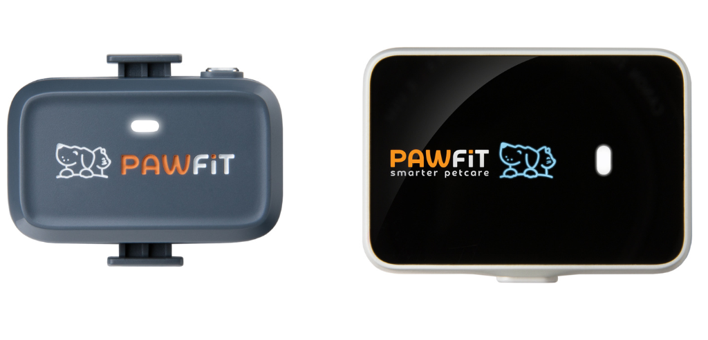 a grey Pawfit lite tracker and a Pawfit 3 GPS tracker